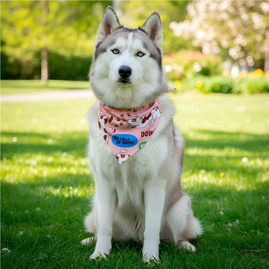 Pre-Printed Sample Hoppla Bosco Large Polyester Dog Bandana