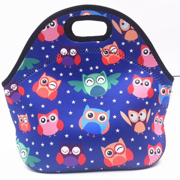 Kiddies Mini Owl lunch bag