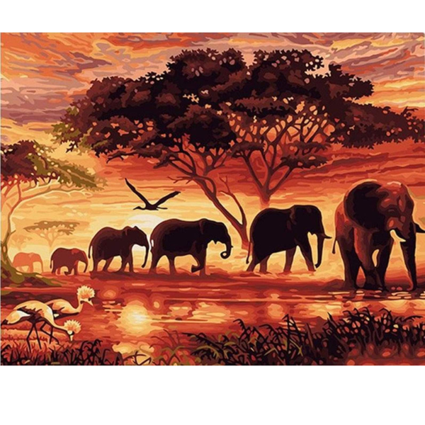 Adult Paint by numbers - Elephants at Dusk Framed canvas 50 x 40