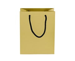 230gsm Matte Gift Bag - 23cm