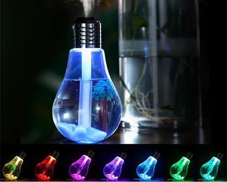 Bulb Humidifier