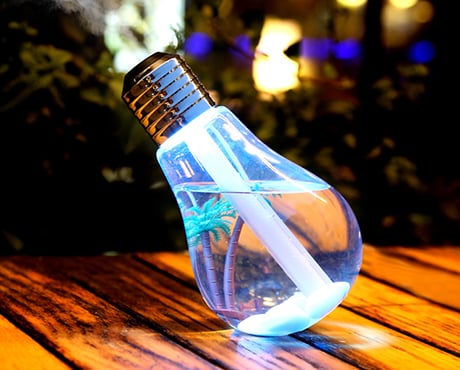 Bulb Humidifier